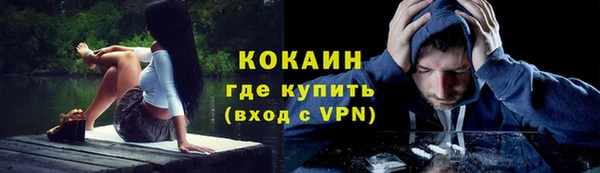 соль ск Вяземский