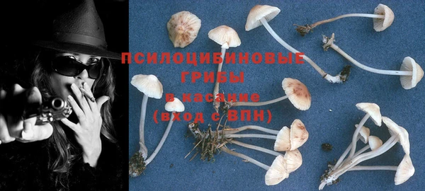 бошки Володарск