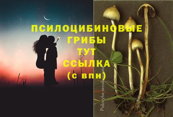 экстази Волосово