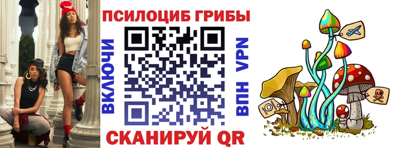Галлюциногенные грибы мицелий  как найти наркотики  Зарайск 